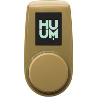 Панель до пульта HUUM sand для електрокаменки