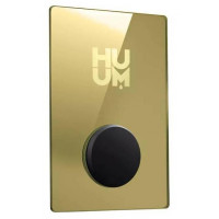 Панель до пульта HUUM gold для електрокам'янки