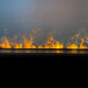 Електрокамін паровий A-Fire Cassette SF100 LOG